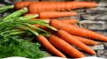 Сладкие сорта моркови, которые стоит попробовать