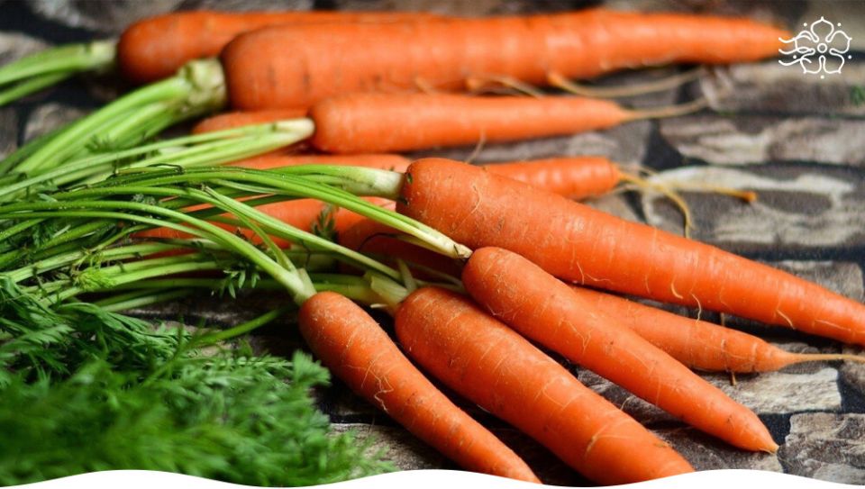 ������� ����� �������, ������� ����� �����������