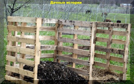 ��� ����� ����� � ���������������: ������ � ������ ��� ����������