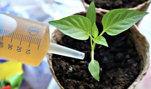 ��������� �������: �������, ������� ��������