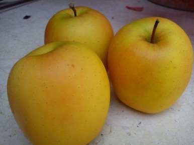 ������ ��������: ������ ���� � ������ ������ � ��������� �������