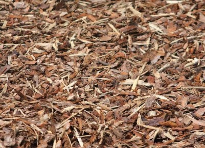 ��� ������������� ����� ������� ����������� ������ �������