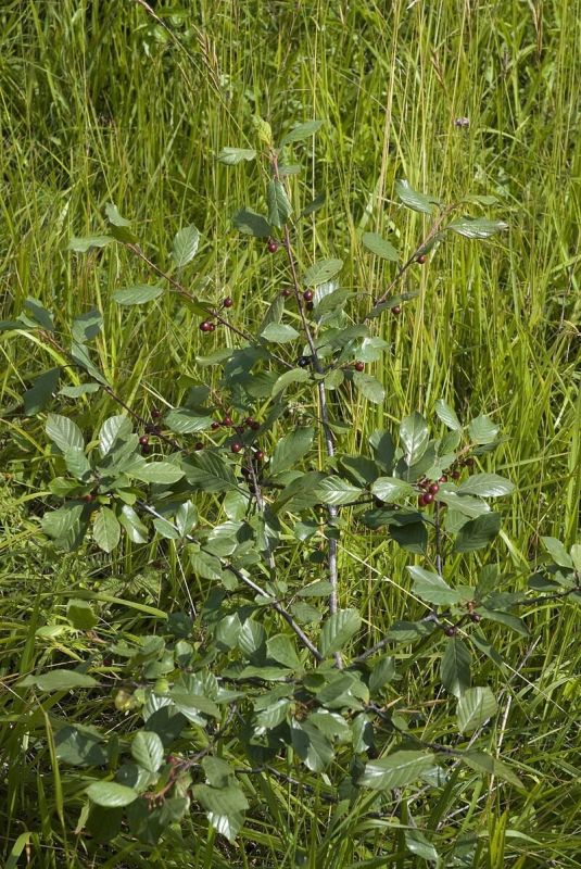 ������-��������: ��� ������� ������ ���� �������� �����