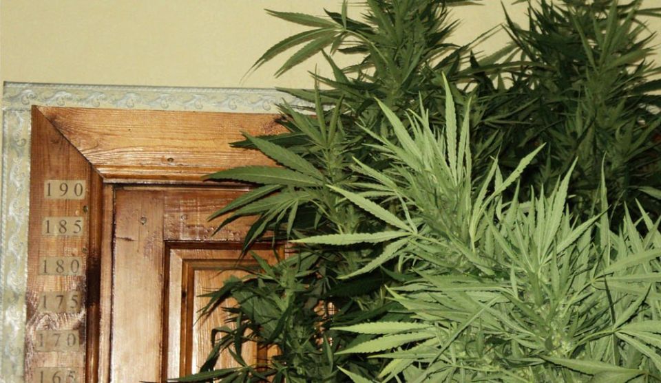 ������ ���������� ������ �������� � ���� � �������� 23 ����� �������