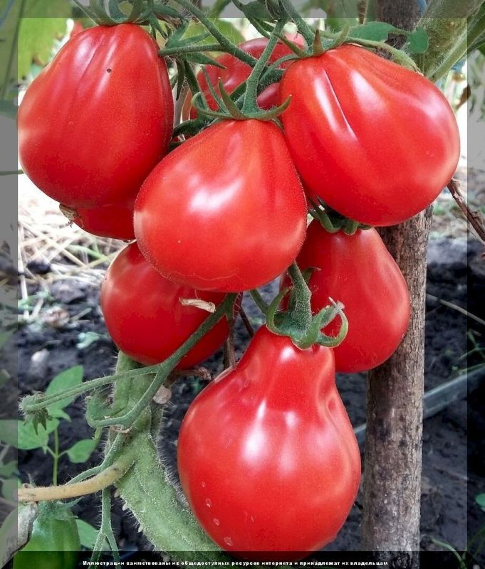 ������ ����� ������� ��� ������ �������: ��� ������������ �������� �� 2026 ���