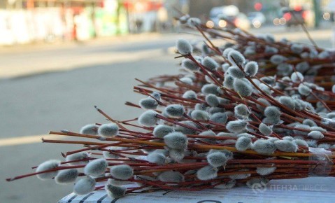 ��������� ���������� �� ����������� ������������ � ������� �����������