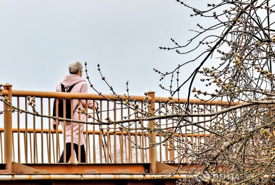 ����� � 2026 �� ���������� ���� ���� � �����: ������������