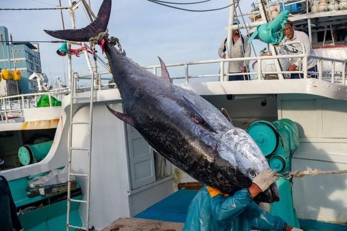 ��������� �������: ������� ����� ���� �� ������������ 3,2 �������� ��������