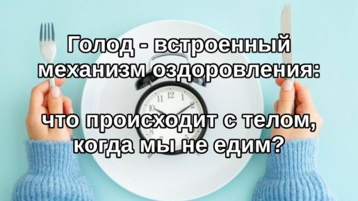 Голод как встроенный механизм оздоровления: что реально происходит с телом