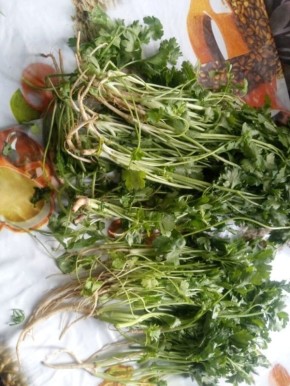 Петрушка с корнями: неожиданные возможности на вашем огороде