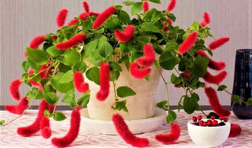 �������: ����� ������ ��� ������ ���������