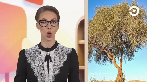 ������ ����!. �����������, �� � �������