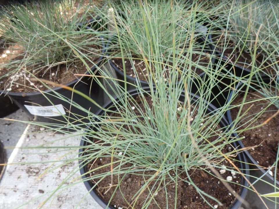 ����� ����������� ������������ ������ � ����� ����