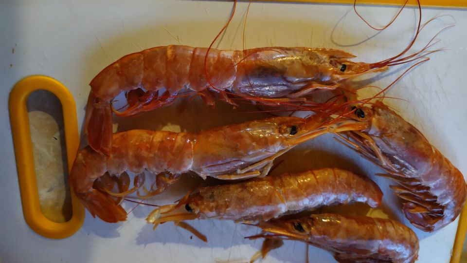 ���������� �� ������: ������� � ������� ������ �������������