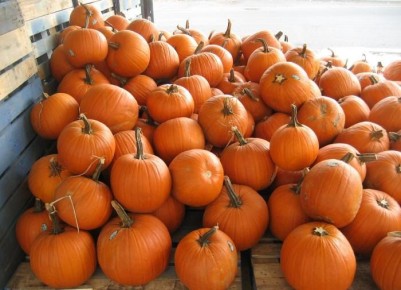 ������� ���������� ������: ����� ������� ����� � �������?