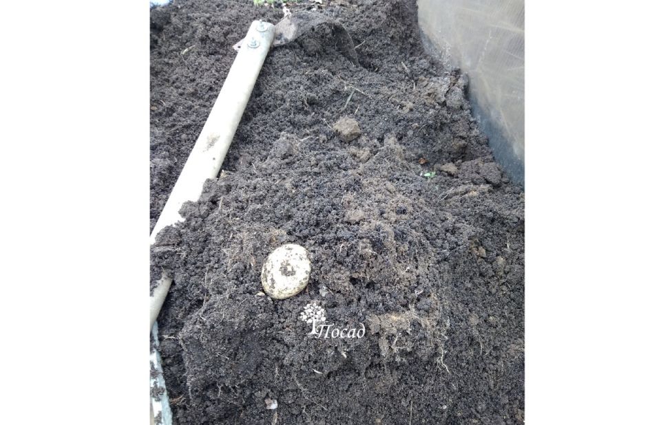 ��������� ������� � �����������: ���� � ������ �������������