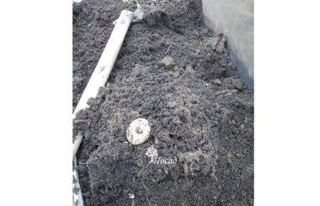 ��������� ������� � �����������: ���� � ������ �������������