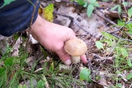 ��� �������� ������ ���������: ������ �� ��������