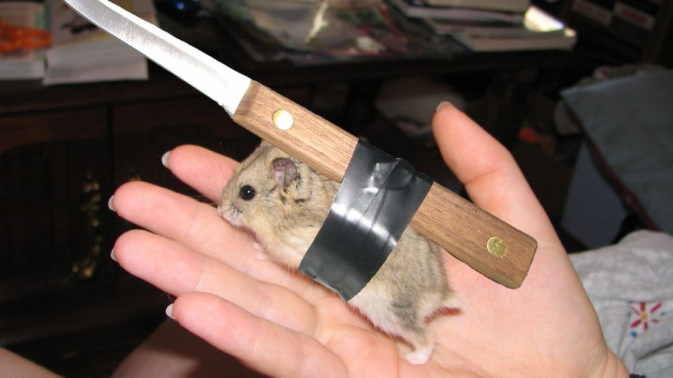 ��� ���������� �������� � ������: ���������� ������ � ������