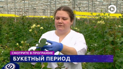 Смотрите программу "События" в 17:30 и 19:30 на телеканале "Экспресс"