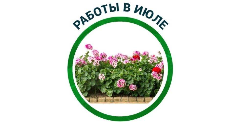 ���� � ����: ������� ��������� ����� �� ����������