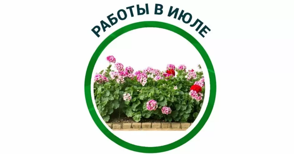 Июль в саду: секреты успешного ухода за растениями