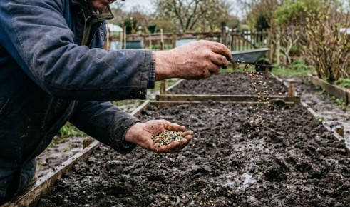 ��� �������� ���������� ���� ����� � ����������� ��� ������