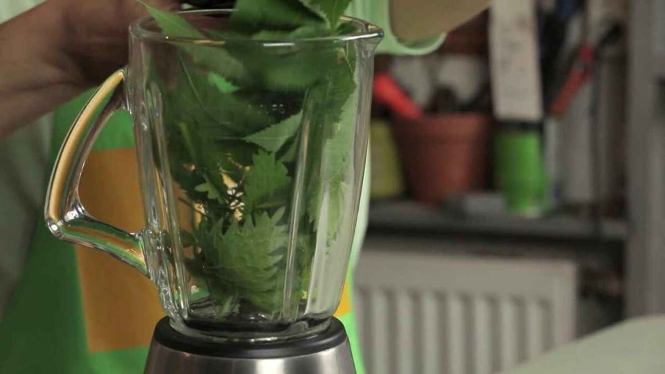 ����� ��� ��������: ������� ����������� ���������