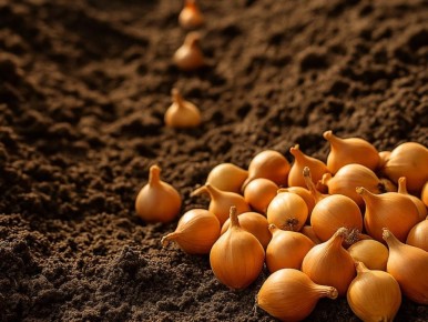 ������, ������� ����� ���: ��� ��������� ������ �� �����