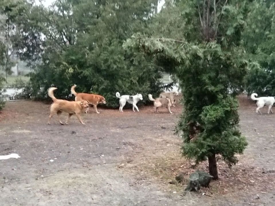 � �������, 8 ������, � ������ 18 ����� � ������ �� �������������� ����� ���� ����� �� 8 ������ �������� 5-������� ������� ����� ������������