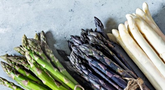 ������: ������ ���� � ����������������� �����������