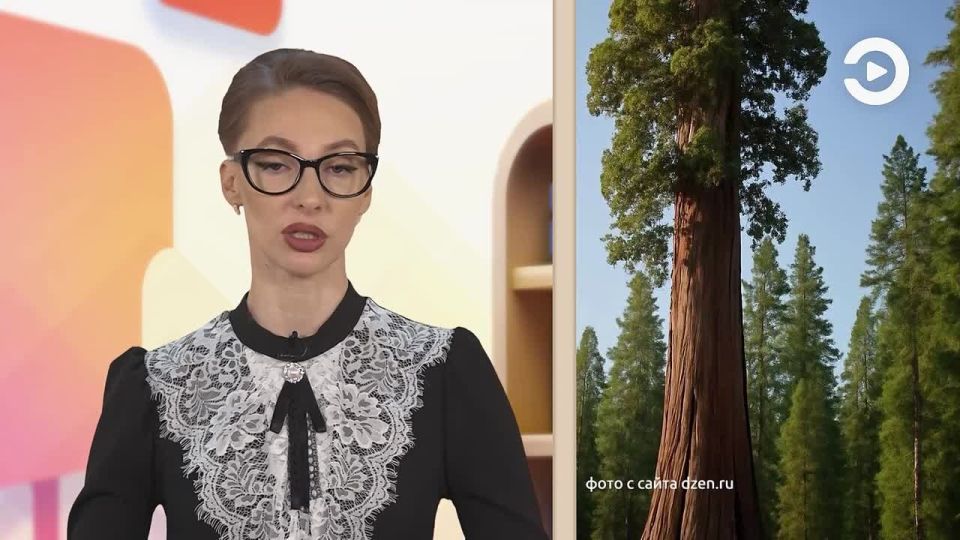 ������ ������ ��� ��� �����? ����� ������ �������� ����� ������ �������������