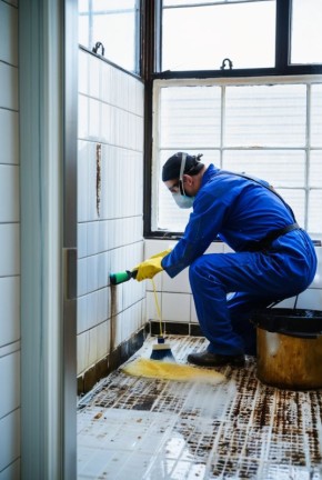 Как быстро и эффективно избавиться от плесени: лучшие методы и советы