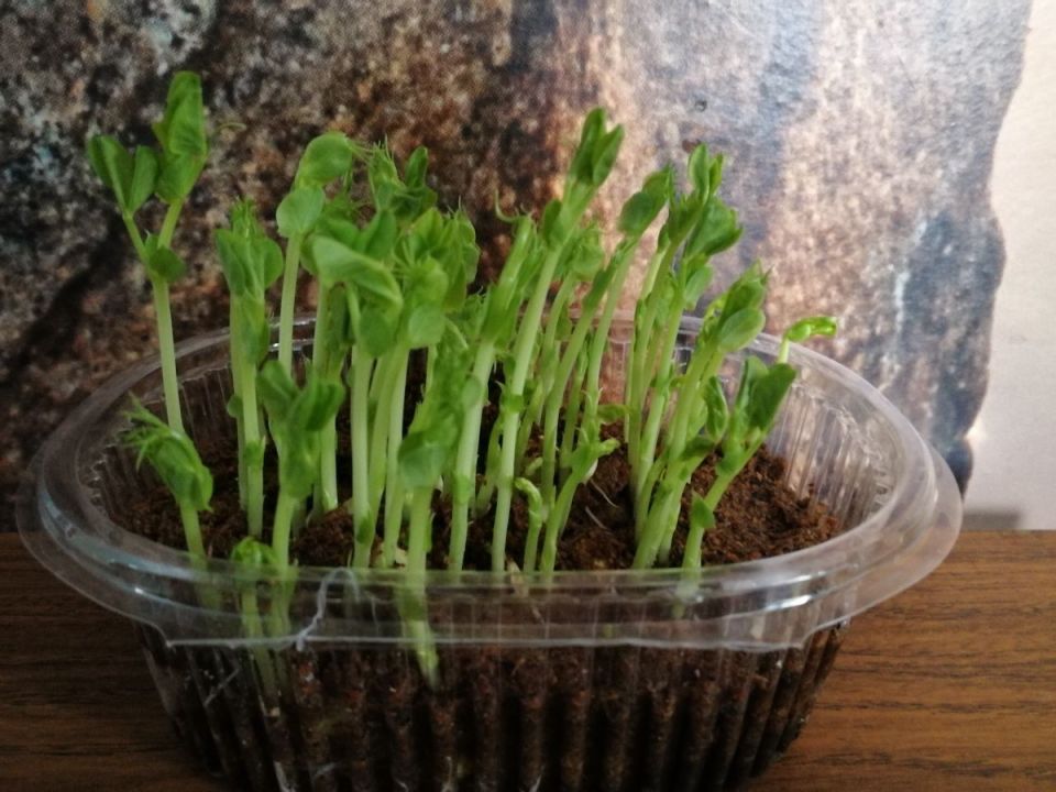 ����� �� �����������: ��� ��������� ������� � ������� ������ ���� �����