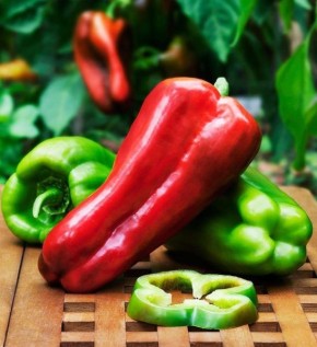 Перец Хайвей: уникальный гибрид с превосходными характеристиками