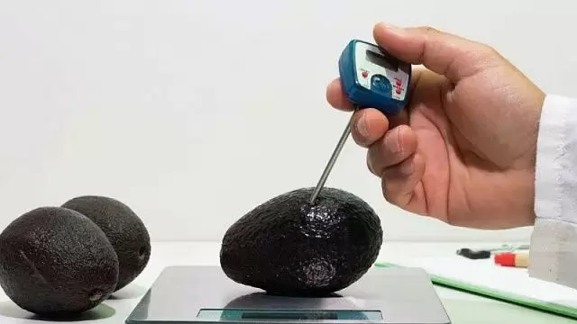 Чилийские ученые представили натуральное решение для защиты авокадо