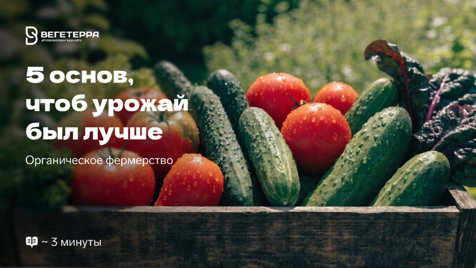 �������� ������� ��������� ������: �� ��� �������� ��������