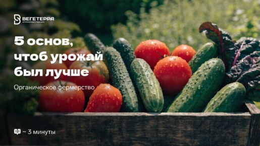 �������� ������� ��������� ������: �� ��� �������� ��������