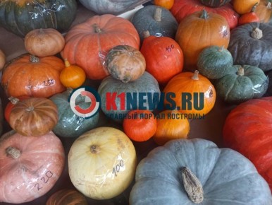 ��������� ����: ������ �� ������ ����� � ������ ���������� ����