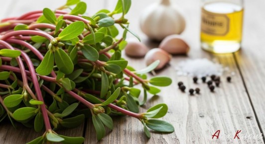 ��������� �����������: ������� � ���������� �����