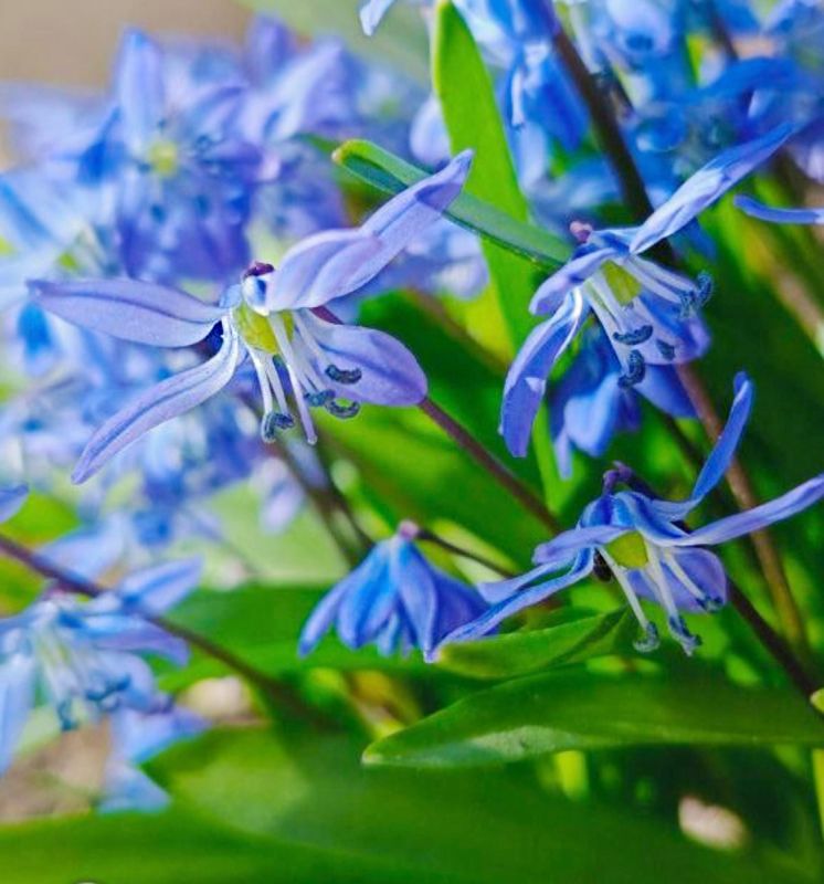 ������ ��� � �����: ���������� ������������