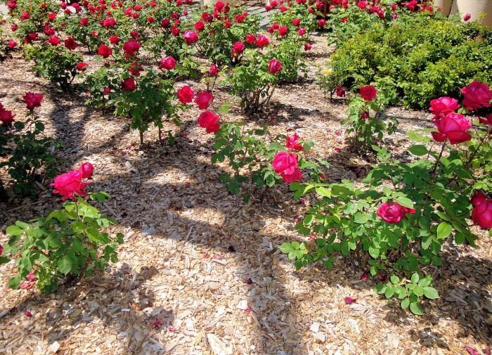 ����� ������������ ������: 9 ������ ��������� �������� ������ ����