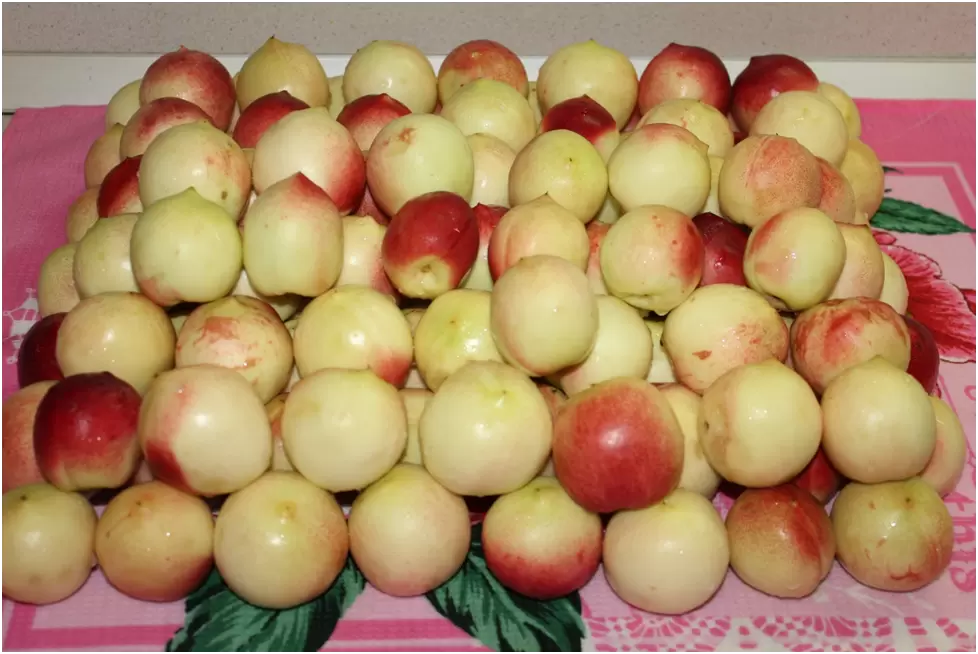 Нектариновые заготовки: компот и варенье на зиму