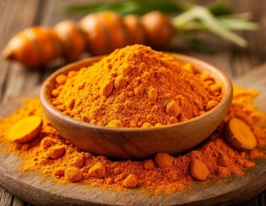 �������: ������� ������� �������� � ������ ������ �����