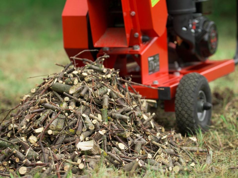 ������������ �������: ����� ������ �� ������ ������� ������