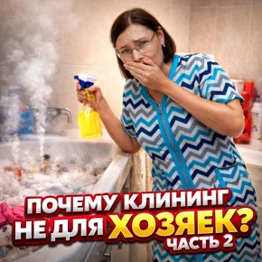 Опасности профессионального клининга для домохозяек: что стоит знать