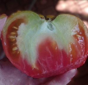 ������ �������� ��������� ���� ���������: 5 ������� ������ ���������� ������