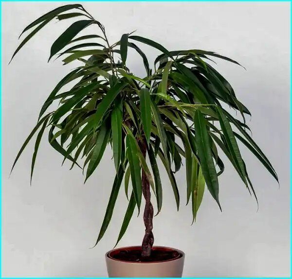 ����� ���: ���������� ������ ��� ������ ���������