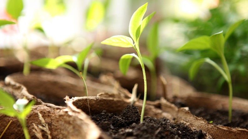 ������ ��������� ������ ����� ��������� �������� ��������� �������