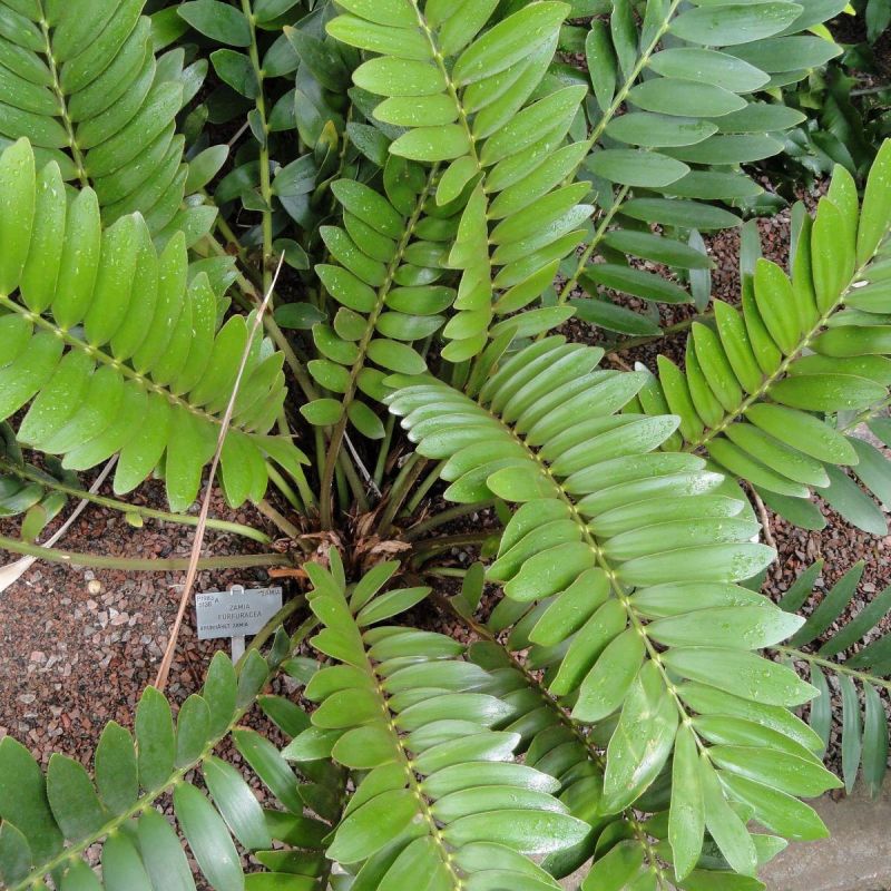 ��������� � �������������: ������� ����� �� ���������� �������